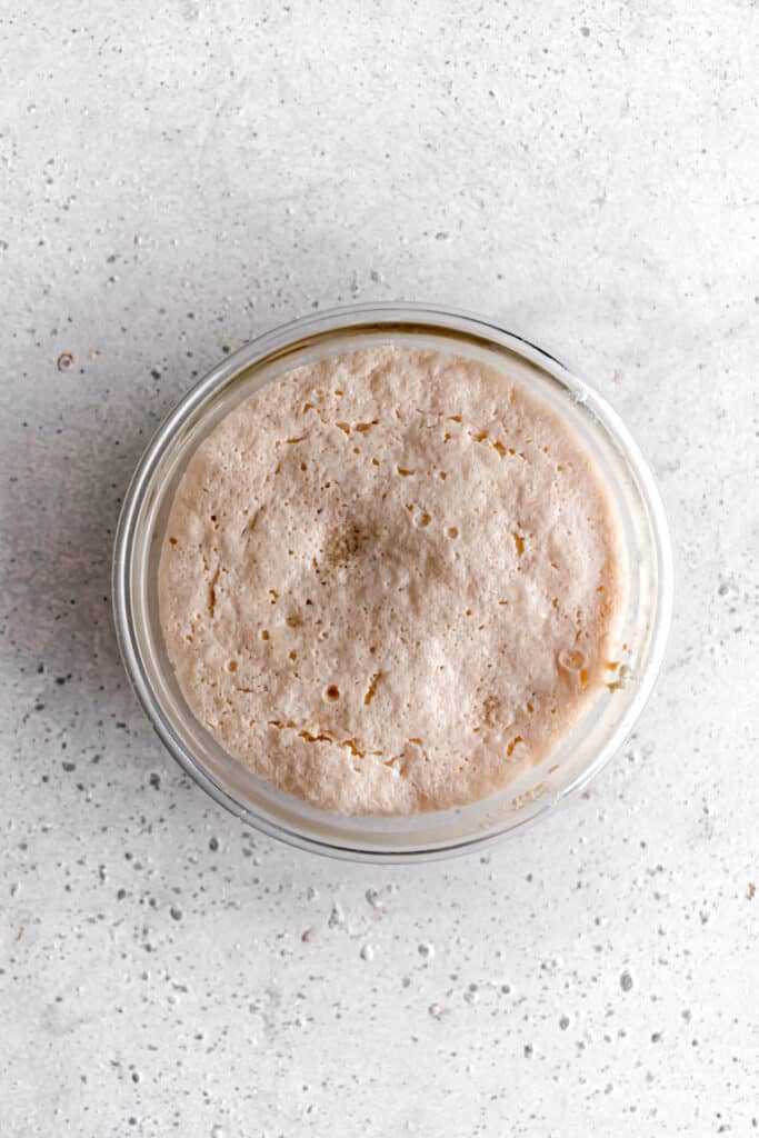 yeast blooming and active in a bowl