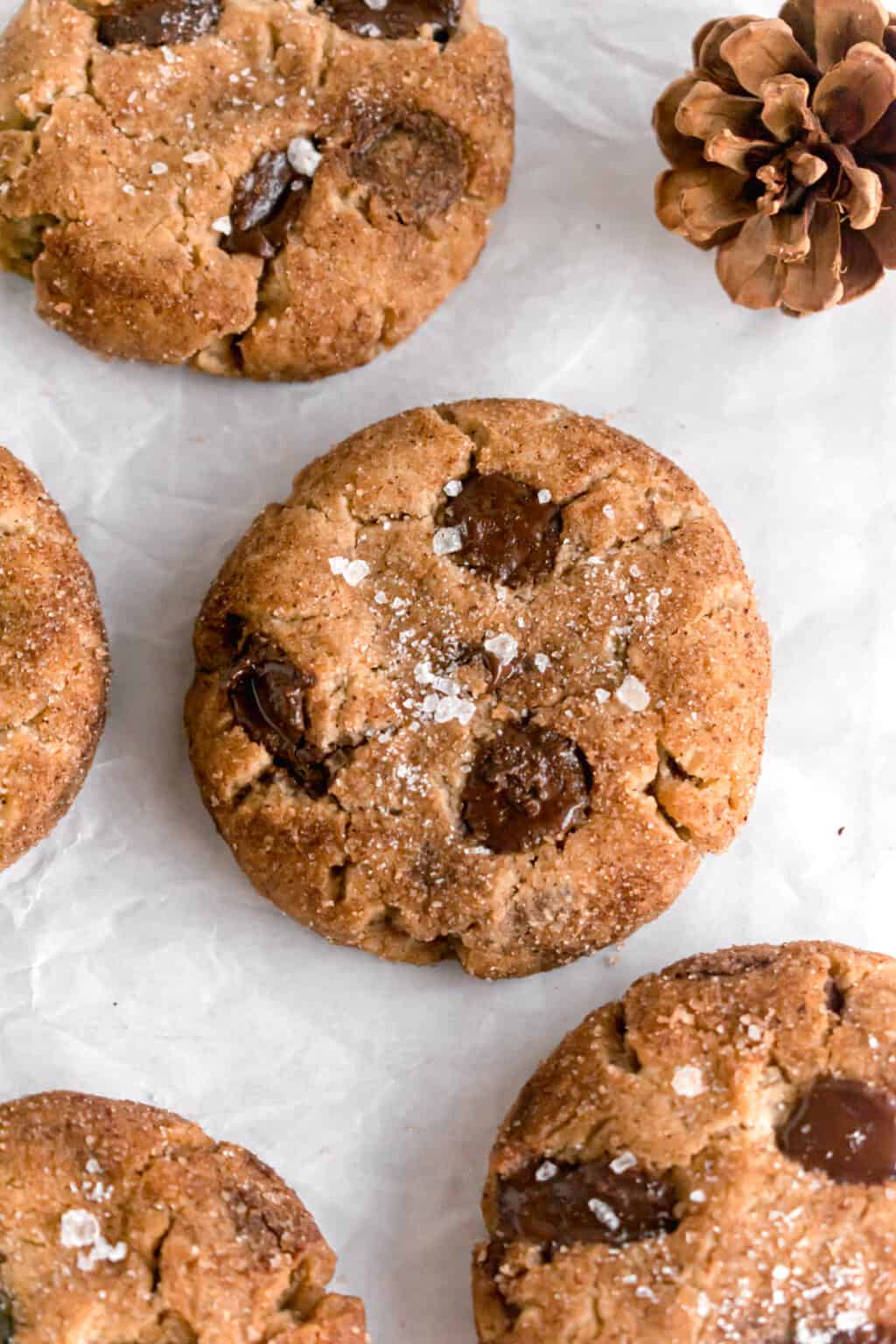 Chocolate Chip Molasses Cookies ThatBakeBlog