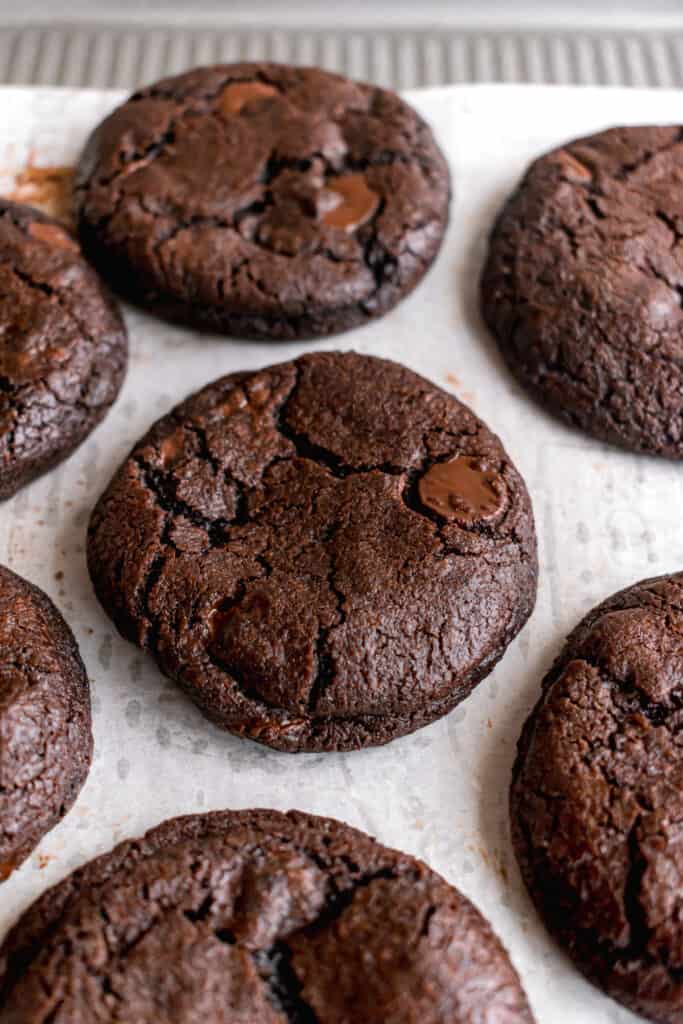 double chocolate chip cookie recipe